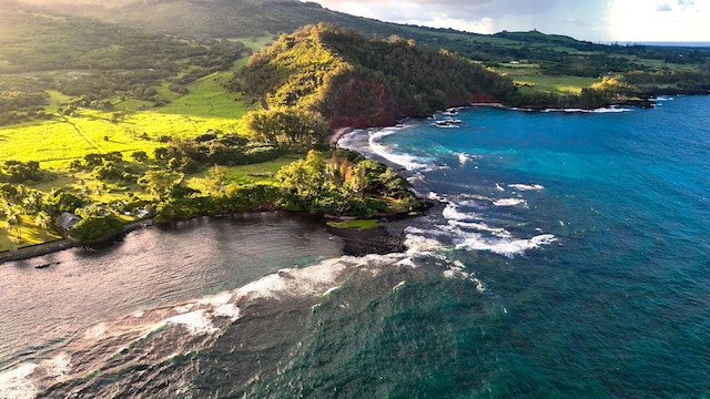 175 Haneoo Rd, Hana, HI 96713