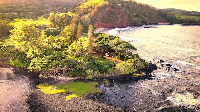 175 Haneoo Rd, Hana, HI 96713