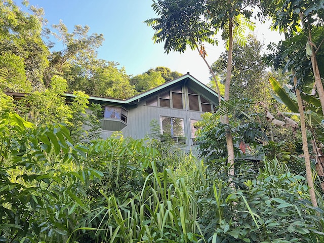 6751-R Koolau Rd, Anahola, HI 96746 - photo 10