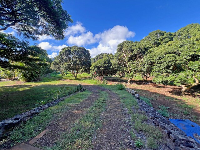 6751-R Koolau Rd, Anahola, HI 96746 - photo 12