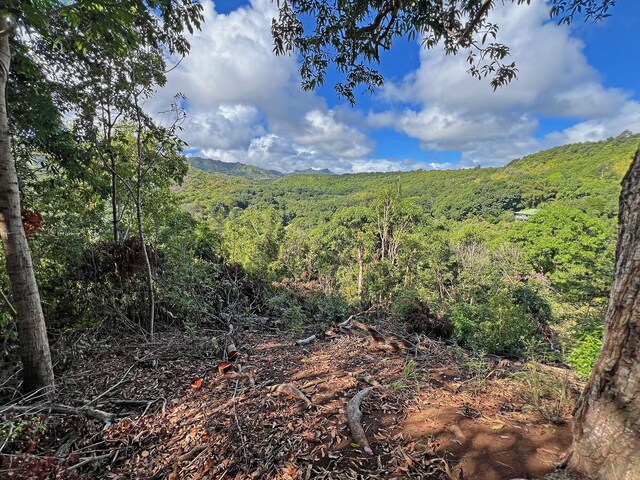6751-R Koolau Rd, Anahola, HI 96746 - photo 21