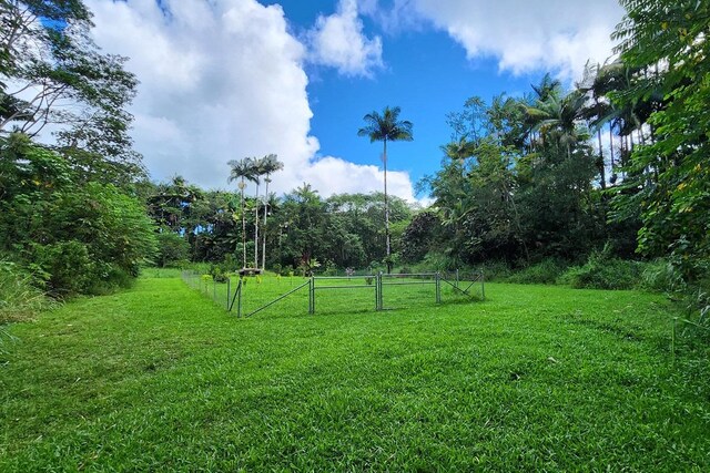 17-715 Ala Loop, Mountain View, HI 96771 - photo 26