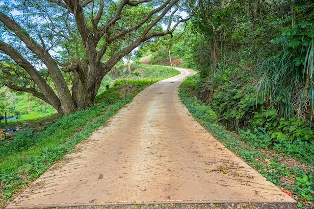 5409 Laipo Rd Unit 2, Kapaa, HI 96746 - photo 2