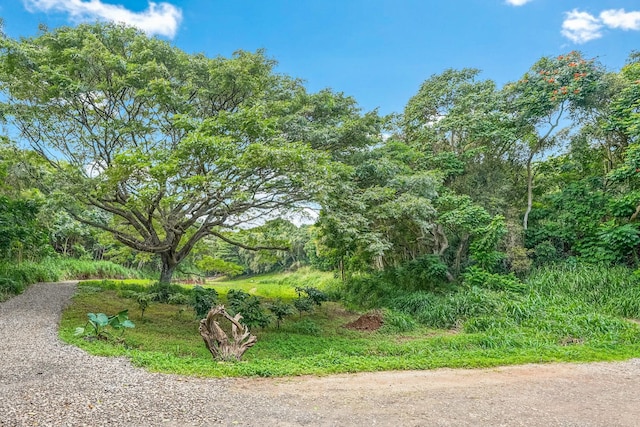 5409 Laipo Rd Unit 2, Kapaa, HI 96746 - photo 4
