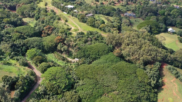 5409 Laipo Rd Unit 2, Kapaa, HI 96746 - photo 5