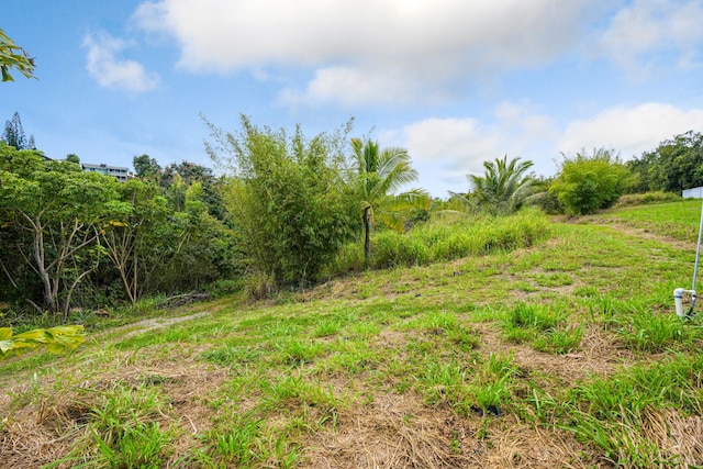 5409 Laipo Rd Unit 2, Kapaa, HI 96746 - photo 6