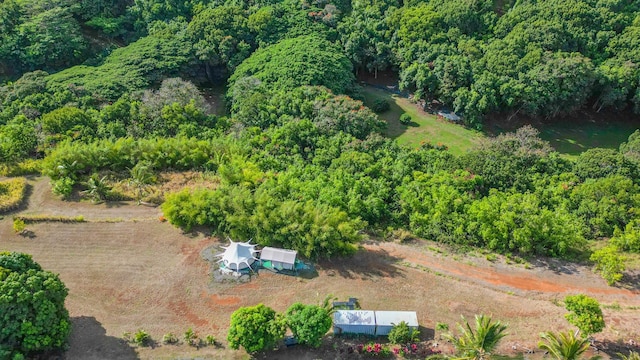 5409 Laipo Rd Unit 2, Kapaa, HI 96746 - photo 7