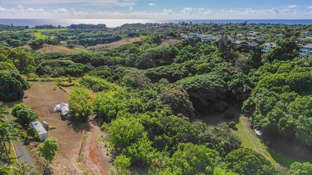 5409 Laipo Rd Unit 2, Kapaa, HI 96746 - photo 8