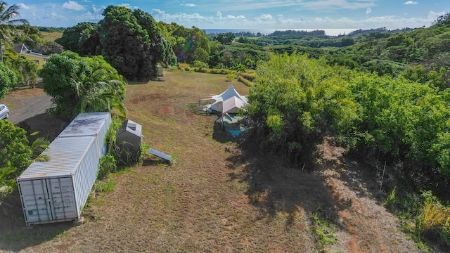 5409 Laipo Rd Unit 2, Kapaa, HI 96746 - photo 9