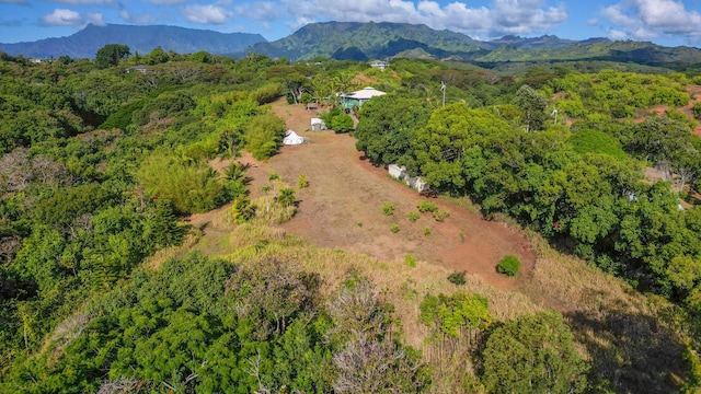 5409 Laipo Rd Unit 2, Kapaa, HI 96746 - photo 10