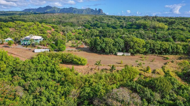 5409 Laipo Rd Unit 2, Kapaa, HI 96746 - photo 12
