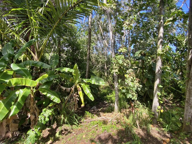 15-2773 Ono St, Pahoa, HI 96778 - view of undeveloped land