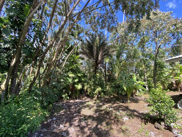 15-2773 Ono St, Pahoa, HI 96778 - view of yard