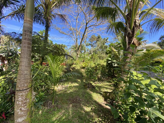 15-2773 Ono St, Pahoa, HI 96778 - view of nature