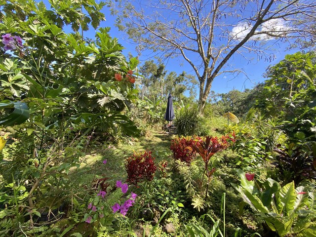 15-2773 Ono St, Pahoa, HI 96778 - view of nature
