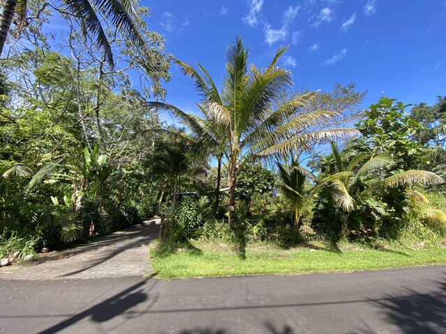 15-2773 Ono St, Pahoa, HI 96778 - view of street