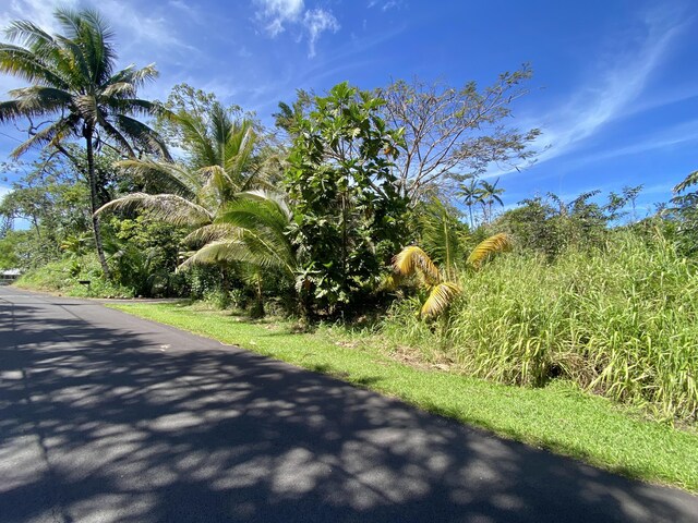 15-2773 Ono St, Pahoa, HI 96778 - view of asphalt road