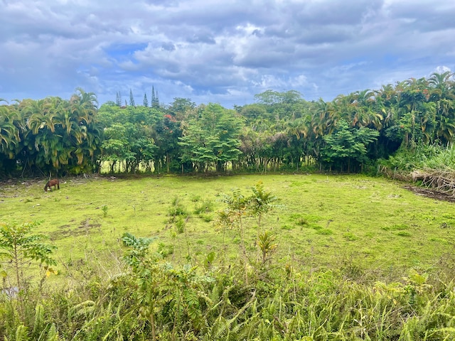1395 Ainaola Dr, Hilo, HI 96720 - view of yard