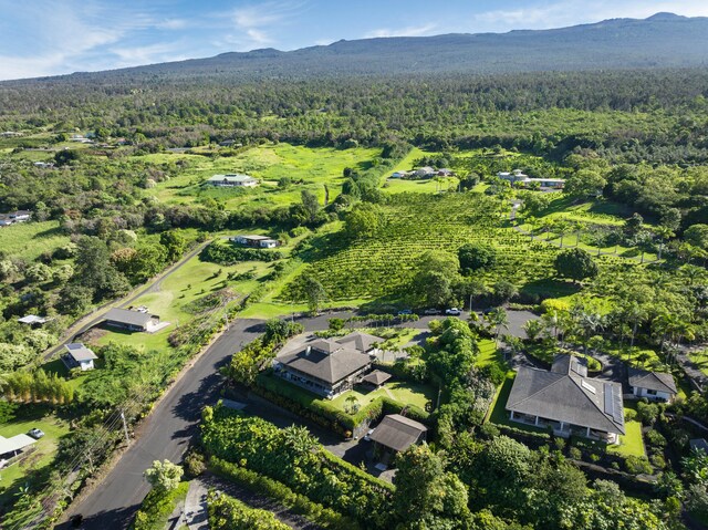 74-1026 Lawaia Rd, Holualoa, HI 96725 - view of property location featuring a forest and a mountainous background