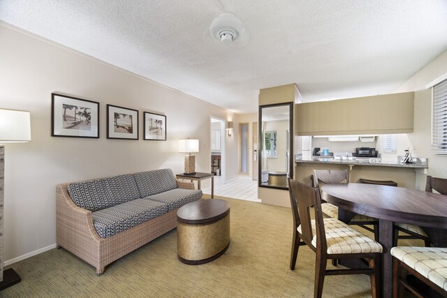 525 Aleka Lp Unit D5, Kapaa, HI 96746 - living area with light carpet, a textured ceiling, and baseboards