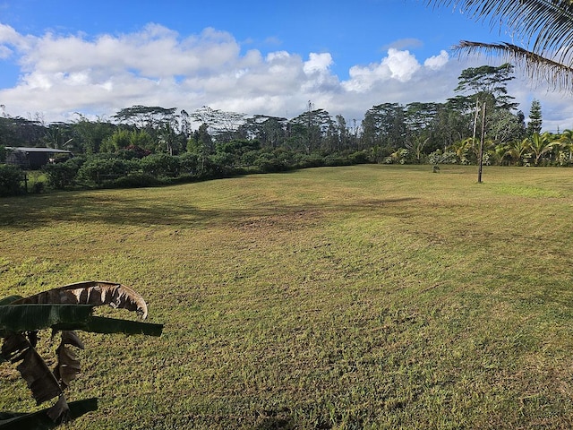 16-1745 35th Ave, Kurtistown, HI 96760 - view of grassy yard