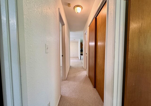 15-2689 Maikoiko St, Pahoa, HI 96778 - hall with a textured wall and light carpet