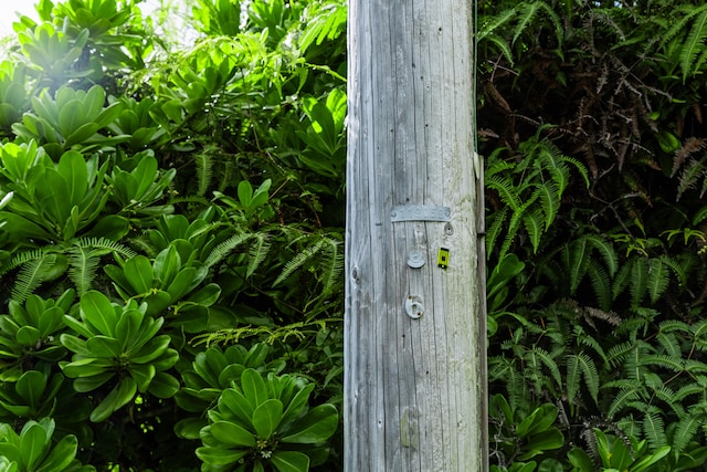 Hookupu St, Pahoa, HI 96778