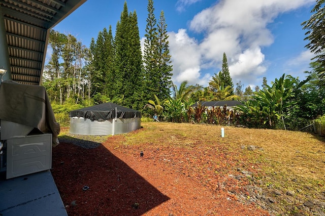 14-3503 Shell Rd, Pahoa, HI 96778 - view of yard