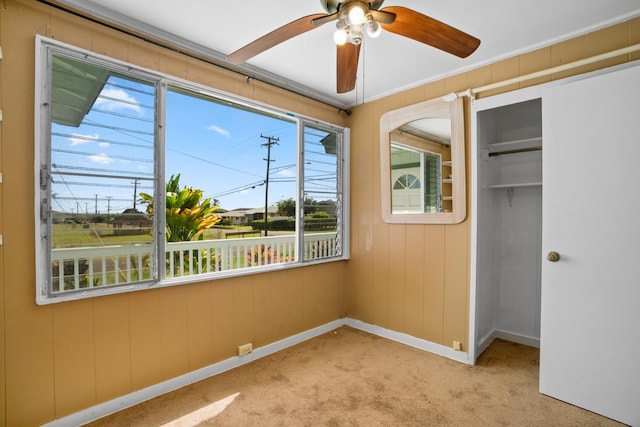 5060 Nonou Rd, Kapaa, HI 96746 - unfurnished bedroom with multiple windows, carpet, a closet, and baseboards