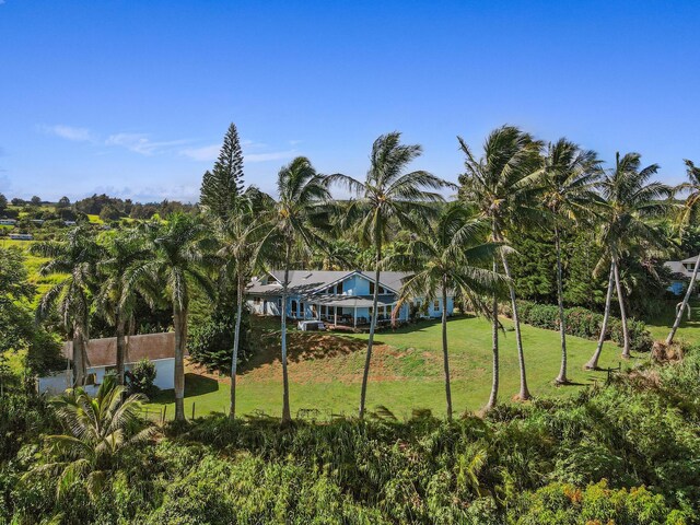 39-3298 Old Mamalahoa Hwy, Ookala, HI 96774 - view of green lawn