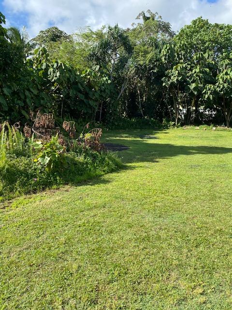 15-2714 Opakapaka St, Pahoa, HI 96778 - photo 3