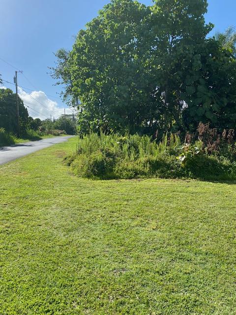 15-2714 Opakapaka St, Pahoa, HI 96778 - photo 5