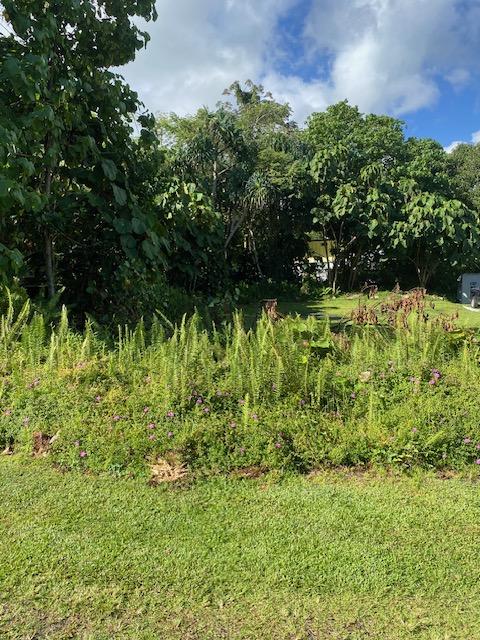 15-2714 Opakapaka St, Pahoa, HI 96778 - photo 6