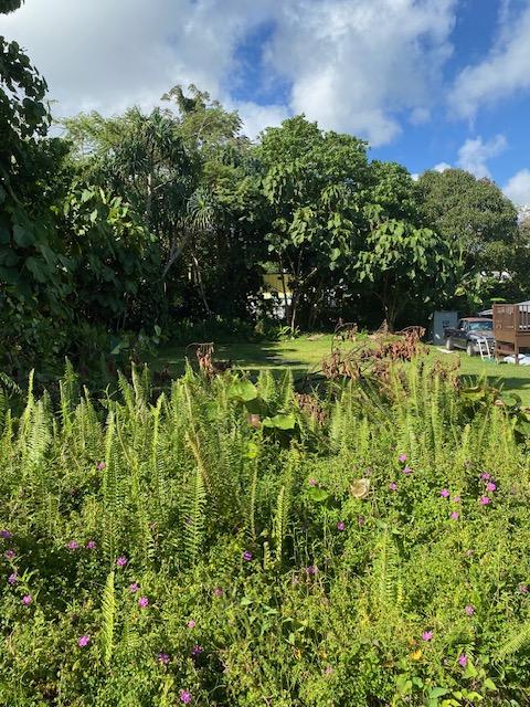 15-2714 Opakapaka St, Pahoa, HI 96778 - photo 8