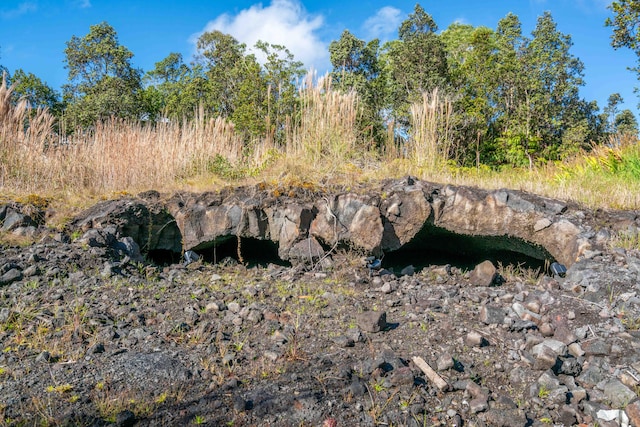 11-3366 Pa Alii St, Volcano, HI 96785 - view of local wilderness