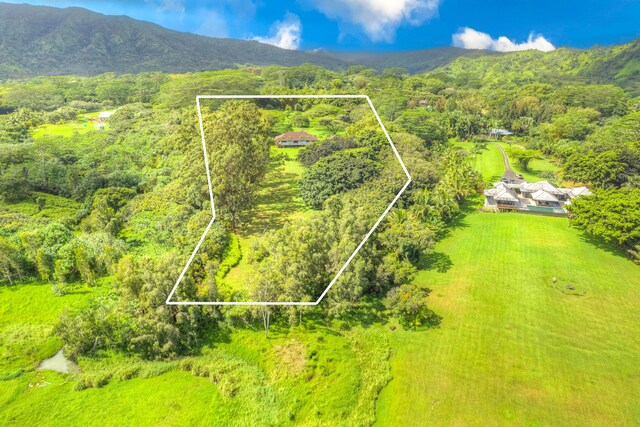 6140 Kahiliholo Rd, Kilauea, HI 96754 - photo 23