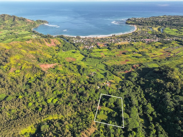 Kuhio Hwy, Hanalei, HI 96714