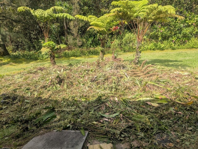 16-1248 Uhini Ana Rd, Mountain View, HI 96771 - photo 23