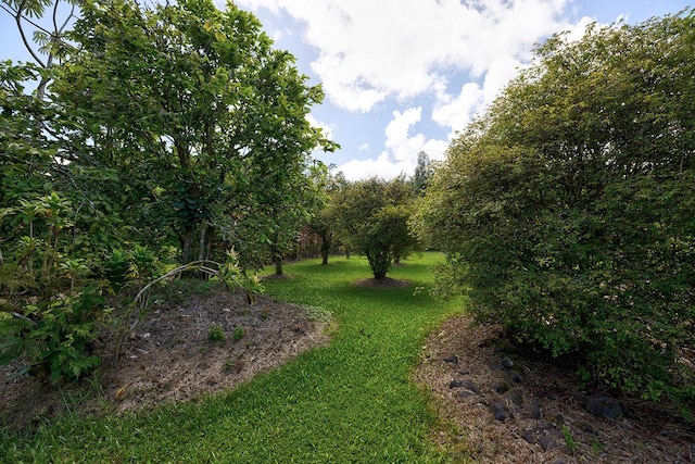 15-2026 33rd Ave, Keaau, HI 96749 - view of green lawn