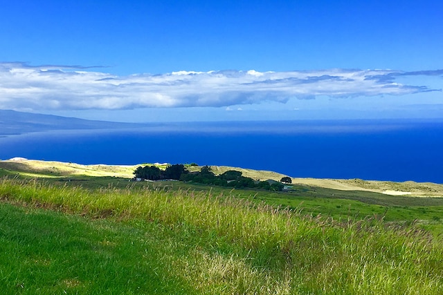 59-644 Ualani Pl, Kapaau, HI 96743 - photo 16