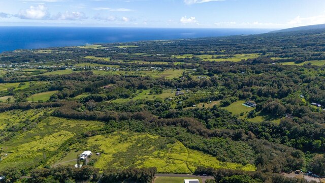 55-3581 Kaauhuhu Rd, Hawi, HI 96719