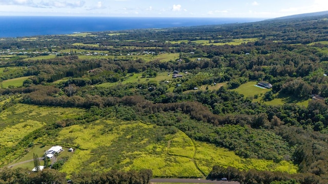 55-3581 Kaauhuhu Rd, Hawi, HI 96719