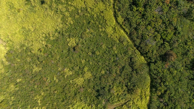 55-3581 Kaauhuhu Rd, Hawi, HI 96719