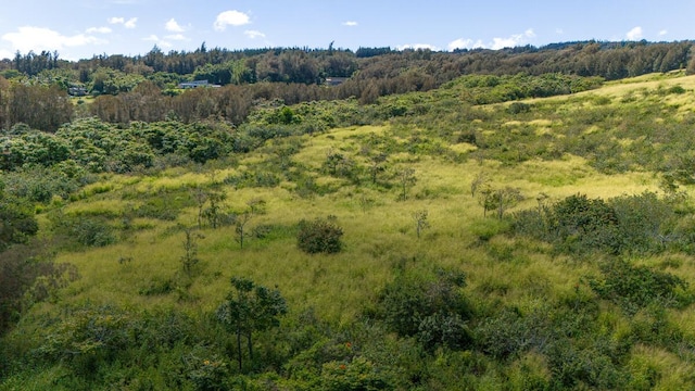 55-3581 Kaauhuhu Rd, Hawi, HI 96719