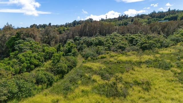 55-3581 Kaauhuhu Rd, Hawi, HI 96719