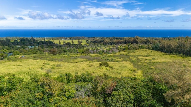 55-3581 Kaauhuhu Rd, Hawi, HI 96719