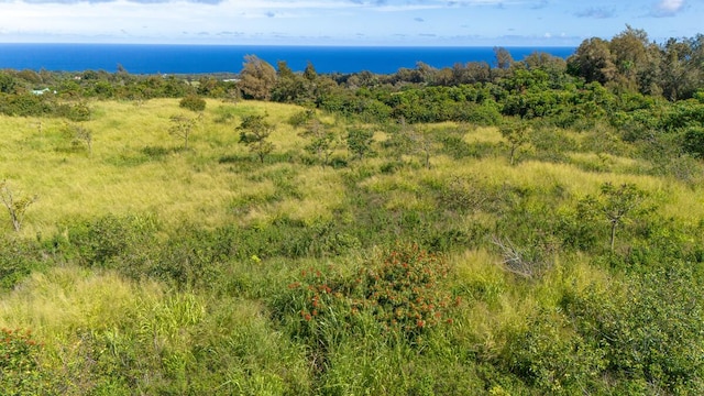 55-3581 Kaauhuhu Rd, Hawi, HI 96719