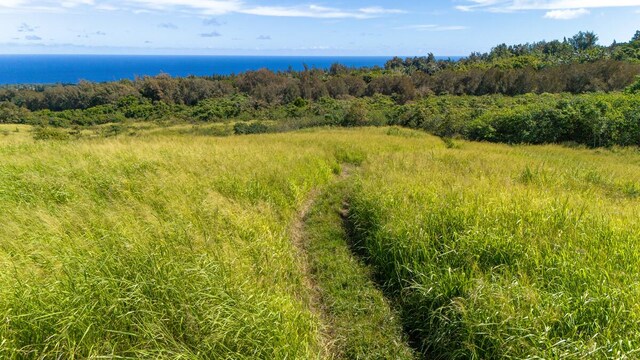 55-3581 Kaauhuhu Rd, Hawi, HI 96719
