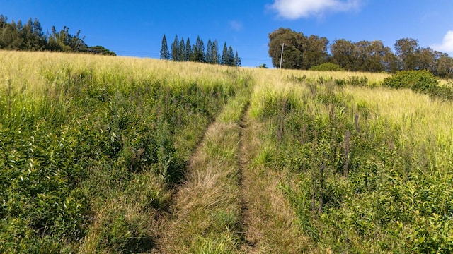 55-3581 Kaauhuhu Rd, Hawi, HI 96719