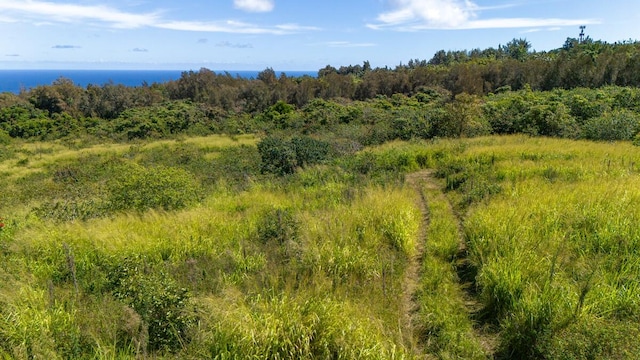 55-3581 Kaauhuhu Rd, Hawi, HI 96719